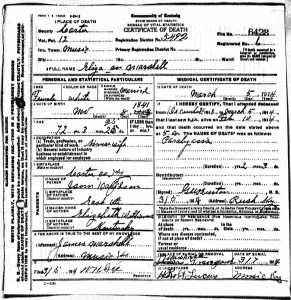 Eliza Ann Marshall Death Certificate