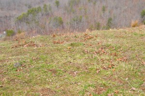 Marshall Cemetery